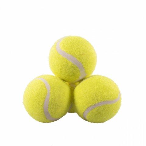 Loptičky Squeaky Tennis Balls 3 ks