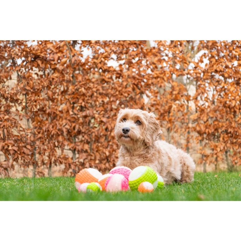 Loptička Dog Comets Glow In The Dark Moon Ball S Pink 3