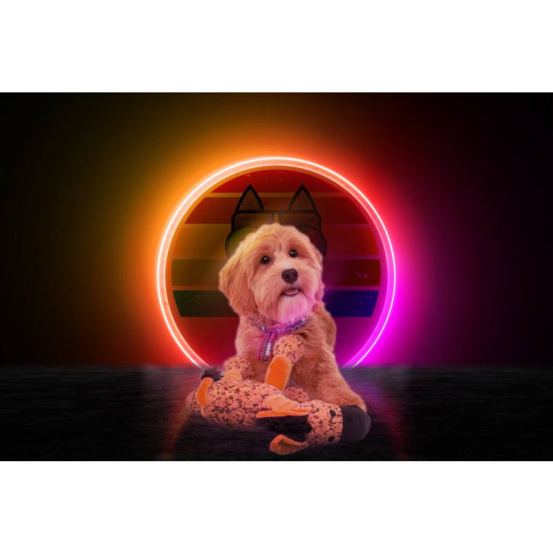 Retrodog Donkey Orange S 1