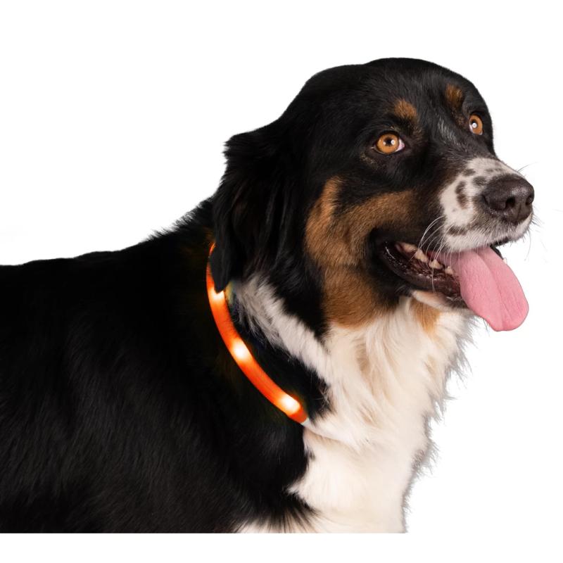 Svietiaci obojok Nightwalk Safety Collar Orange