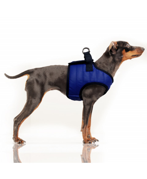 Postroj Nautic Blue 54 1