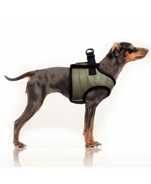 Postroj Nautic Khaki 38 1