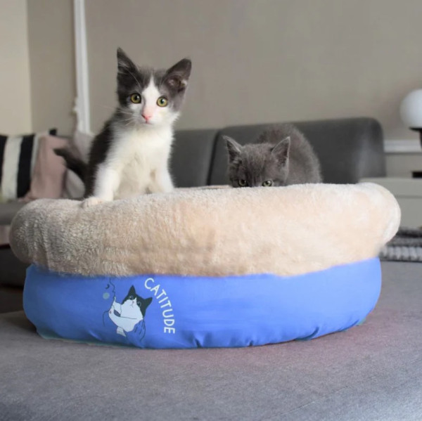 Pelech Tea Party Nest Blue 1