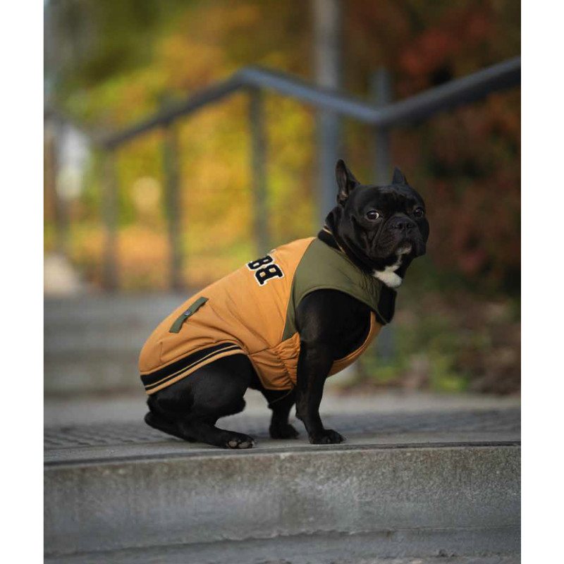 Bunda pre buldogov School 1