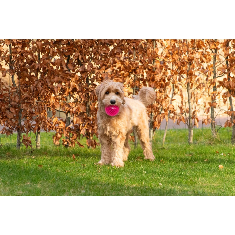 Loptička Dog Comets Exoplanet Spiky Ball M Pink 3