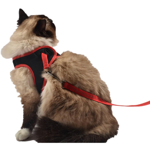 Postroj Bobby Safe Red 1