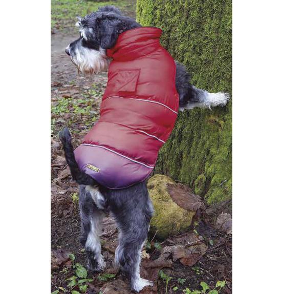 Bunda New Sunset 3XL 1