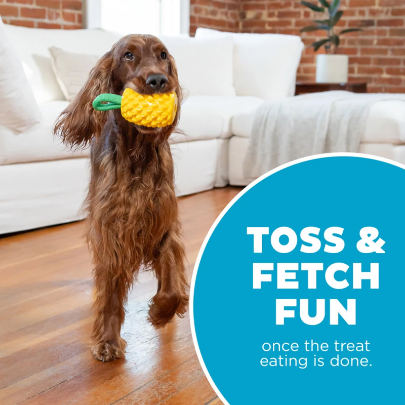 Dentálna hračka Outward Hound Dental Pineapple 6