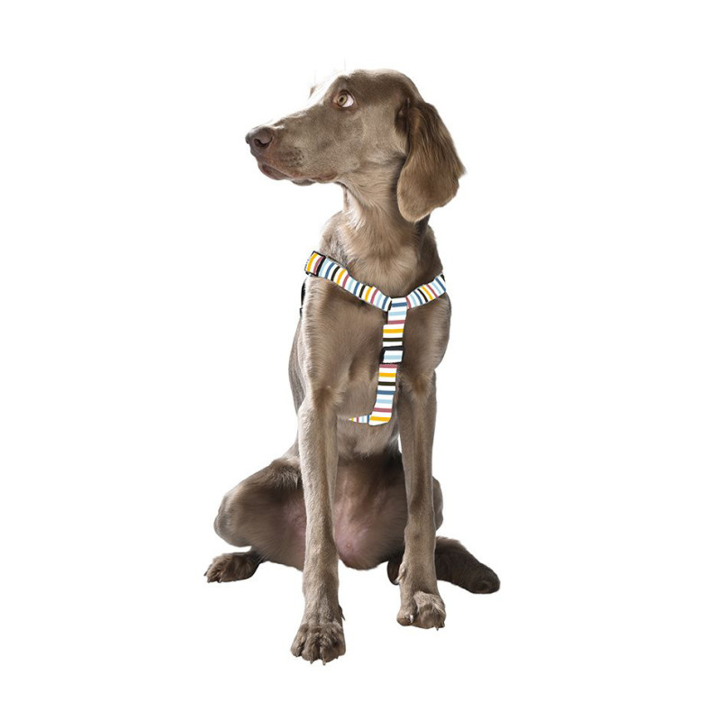 Postroj Nala Grey L 1