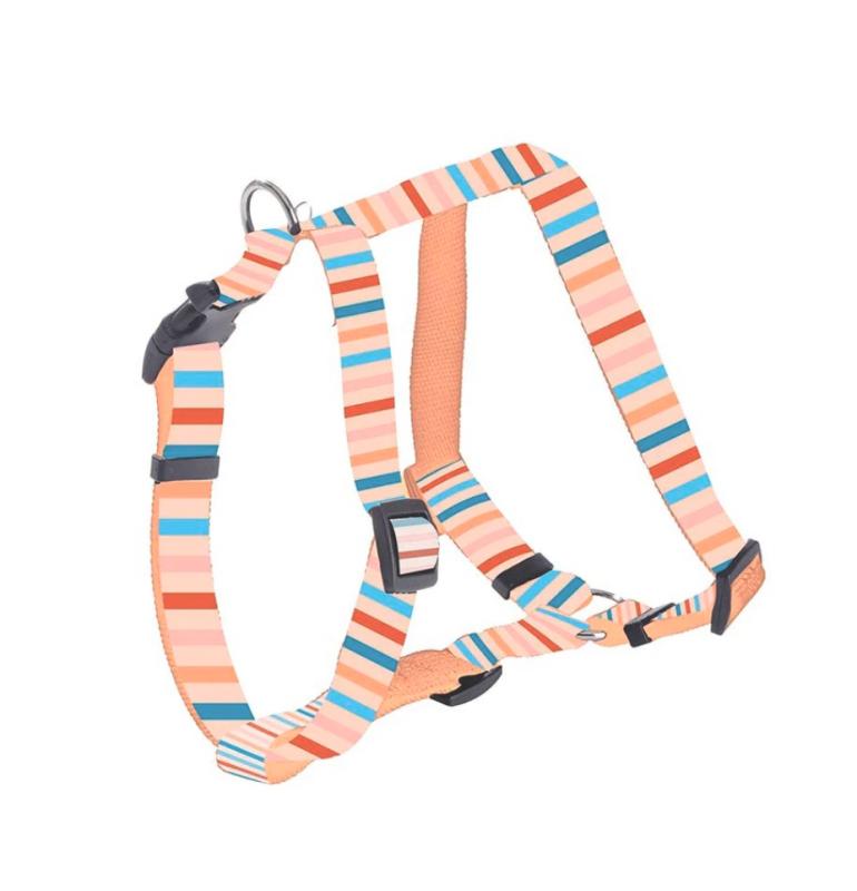 Postroj Nala Orange L 1