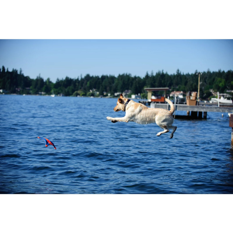 Hračka Chuckit! Flying Squirrel M 2