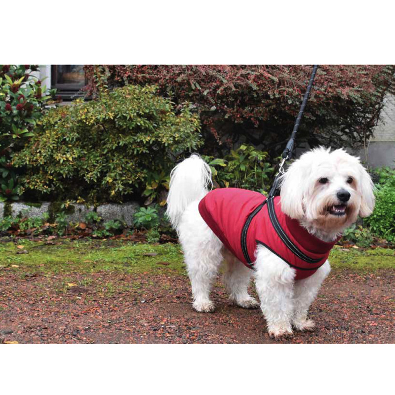 Bunda Easy Red 32S 3