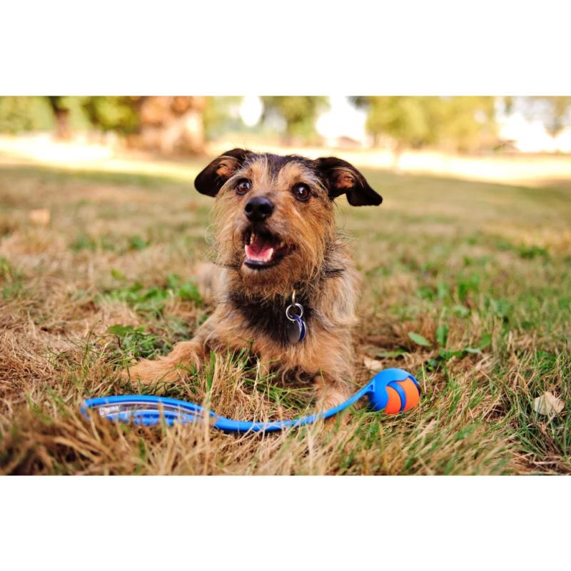 Loptičky Chuckit! Ultra Ball S (2-pack) 3