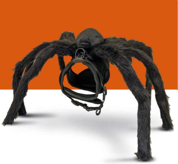 Postroj Fright Spider