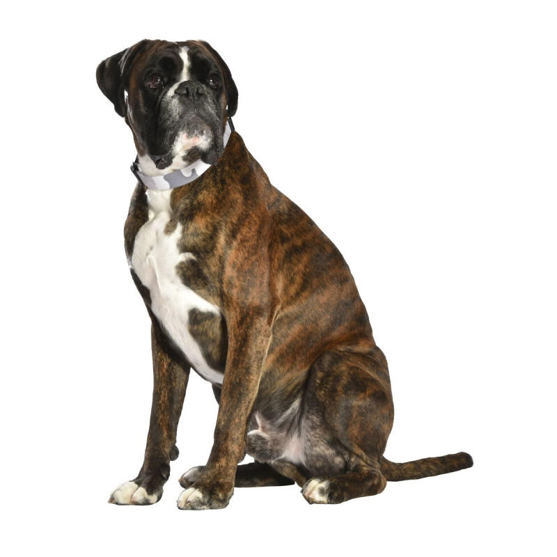 Obojok Camouflage Grey 1