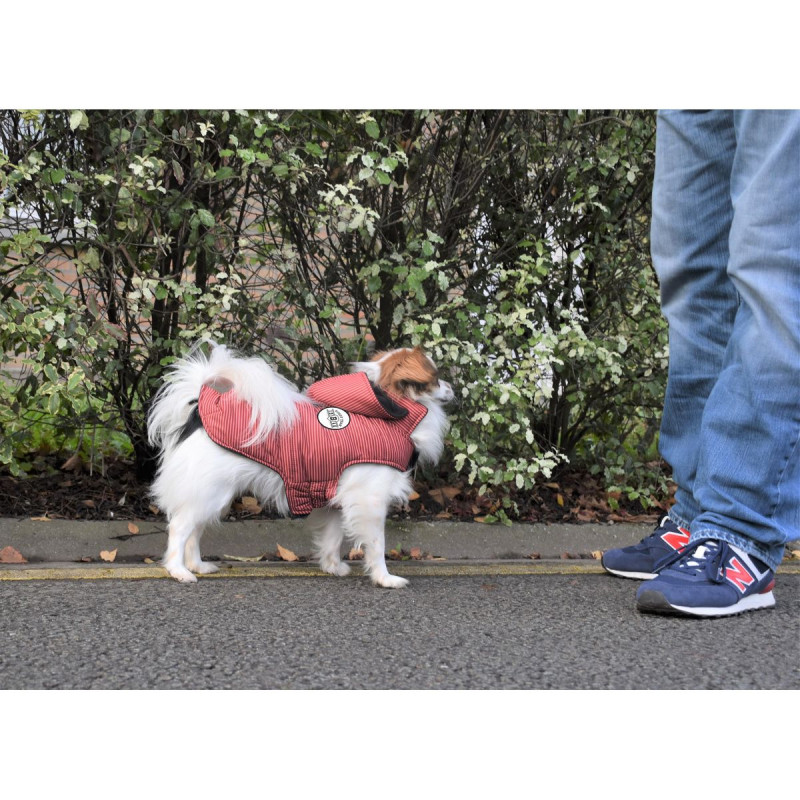 Bunda Rayé Bordeaux 34S 2