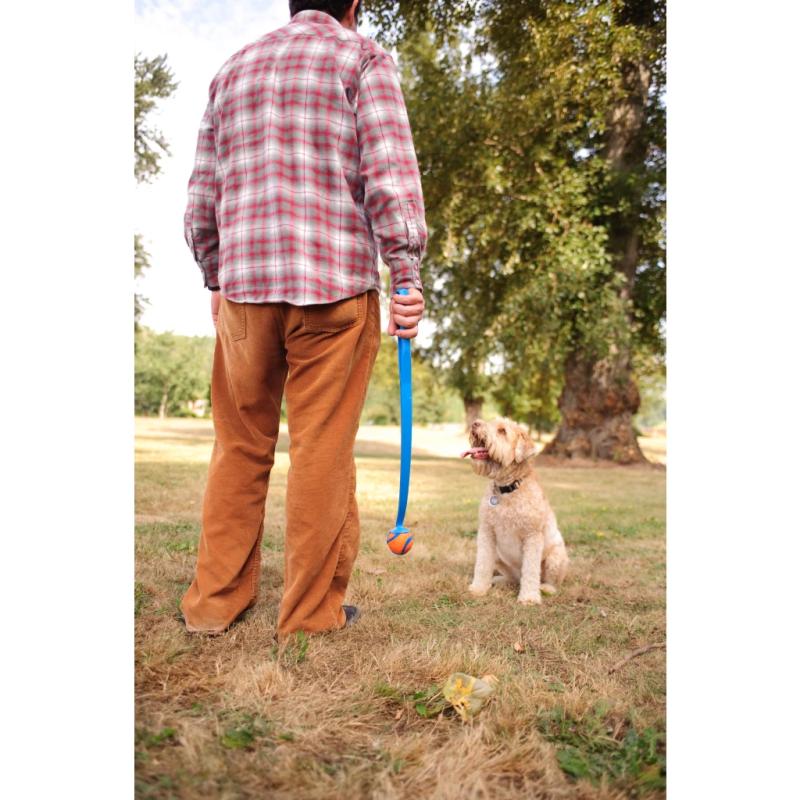 Loptičky Chuckit! Ultra Ball S (2-pack) 4