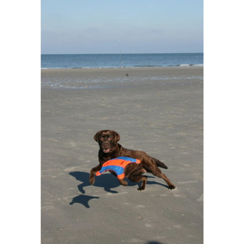 Hračka Chuckit! Flying Squirrel M 3