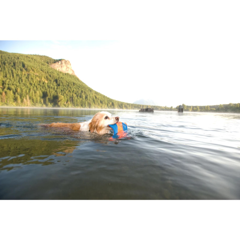 Hračka Chuckit! Flying Squirrel M 4