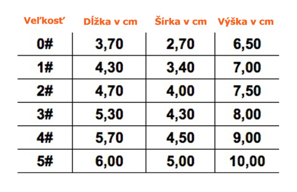 Topánky BLACK LEATHER LIKE 5 1