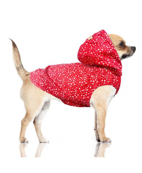 Pršiplášť Cyrielle 38 1