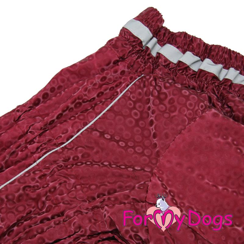 Zimný overal MAROON (pre fenky) B1 2