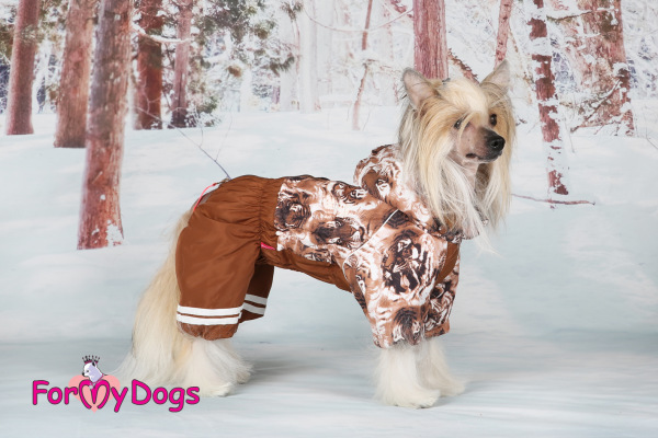 Zimný overal TIGER BROWN (pre fenky) 16/L 1