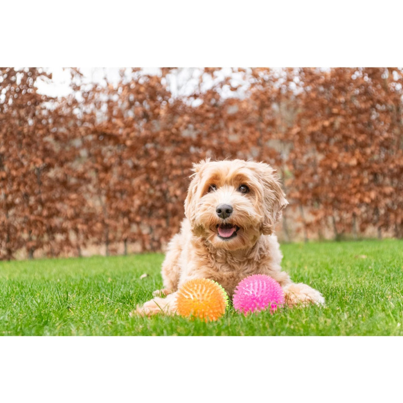 Loptička Dog Comets Exoplanet Spiky Ball L Pink 3