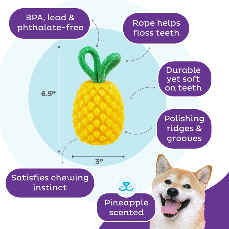 Dentálna hračka Outward Hound Dental Pineapple 4