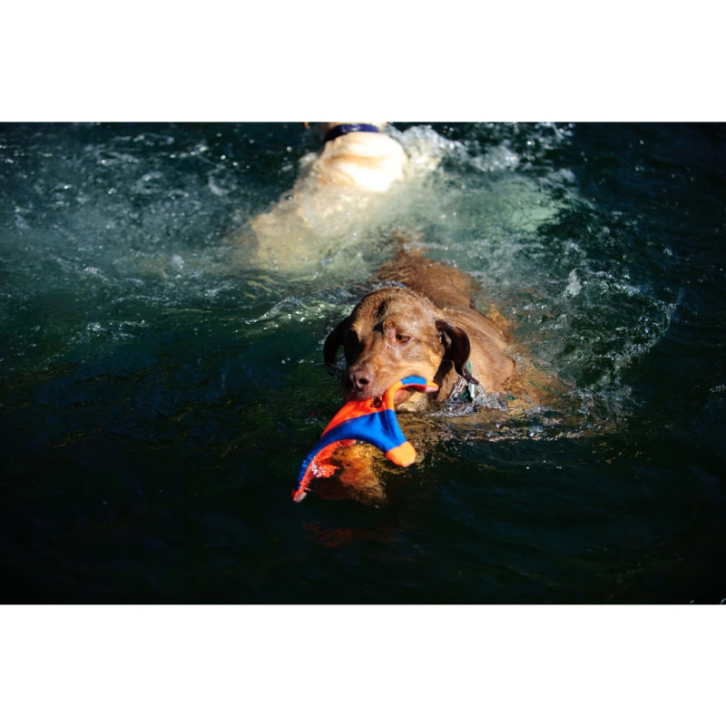 Hračka Chuckit! Flying Squirrel M 5