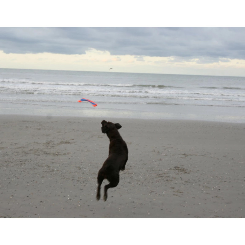 Hračka Chuckit! Flying Squirrel M 1