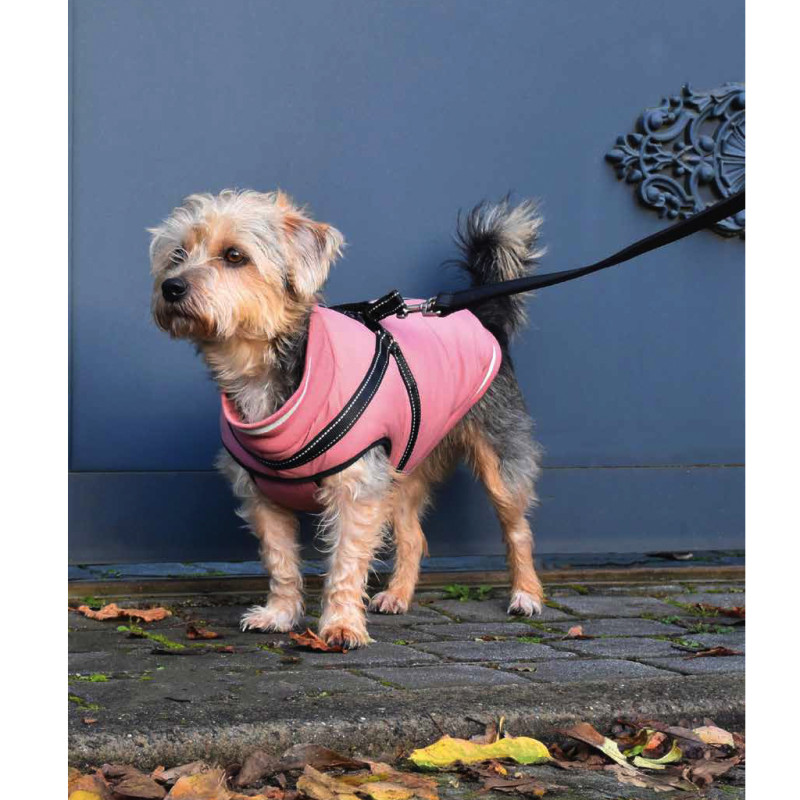 Bunda Zip Pink 32S 1