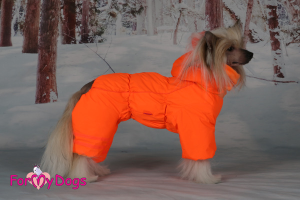 Zimný overal ORANGE (pre fenky) 22/3XL 1