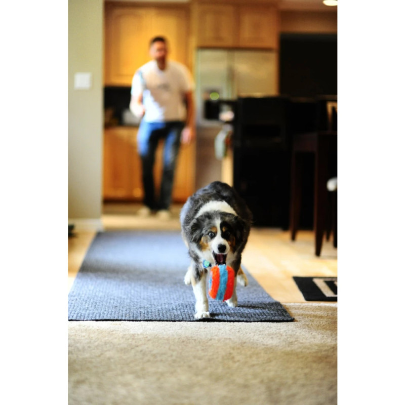 Hračka Chuckit! Indoor Roller 2