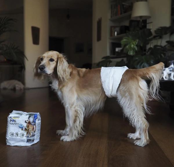 Hygienické pásy proti značkovaniu Dog Nappy M