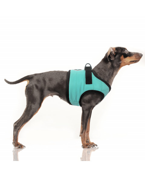 Postroj Musher Aqua 1