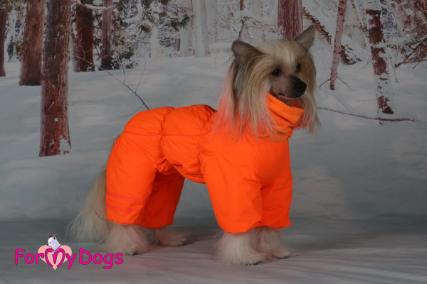 Zimný overal ORANGE (pre fenky) 22/3XL 11