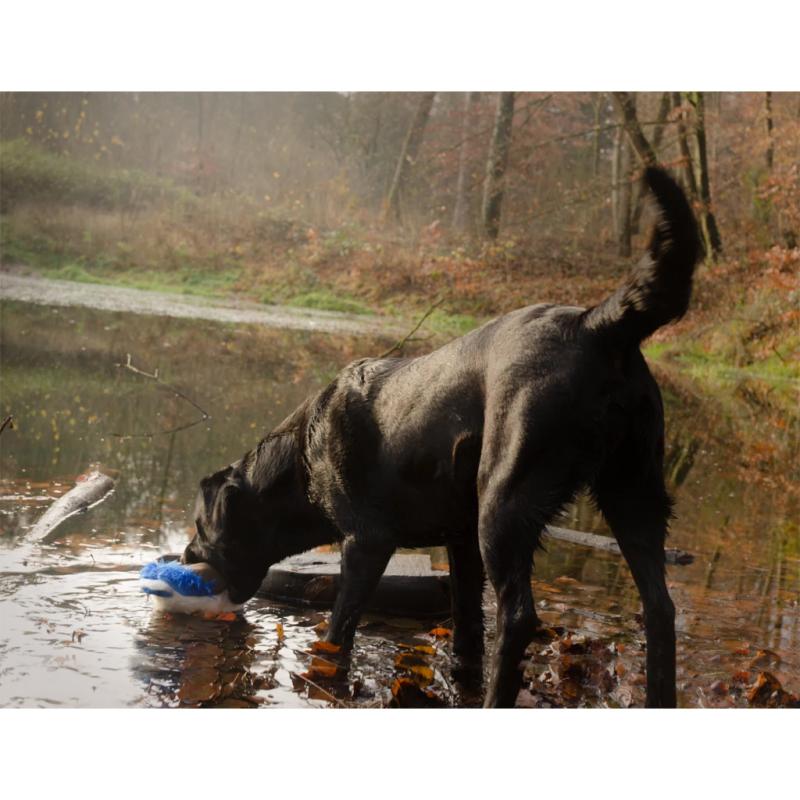 Hračka Wild Life Dog Duck