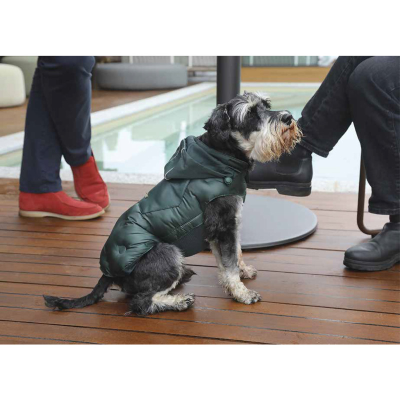 Bunda Pea Green XXL 1