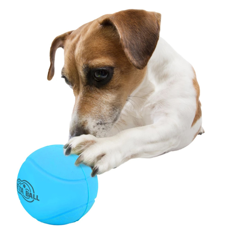 Loptička AFP Meta Ball - Bounce & Rattle Ball 2