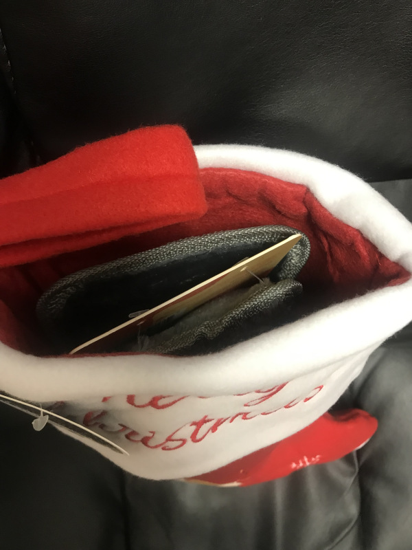 Plná vianočná pančucha Reindeer Growl Raccoon 2