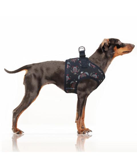 Postroj Manahau 38 1