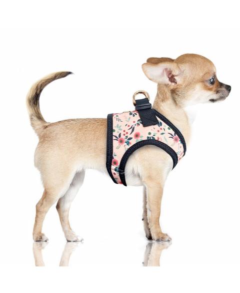 Postroj Adelaïde 54 1