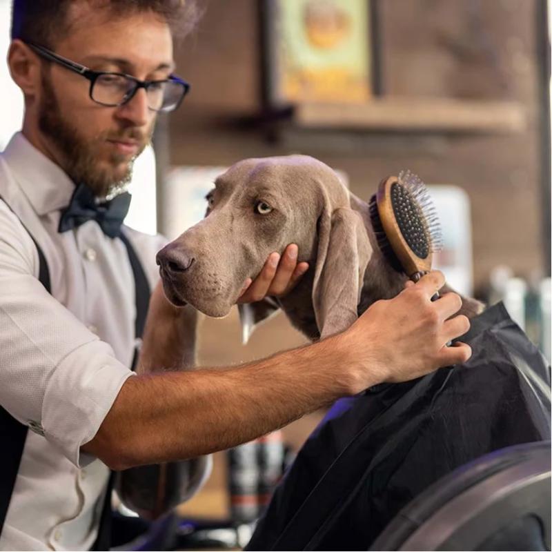 Kefa Barbershop Double Dog Brush