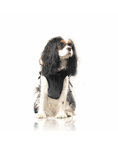 Pršiplášť Hamilton 2