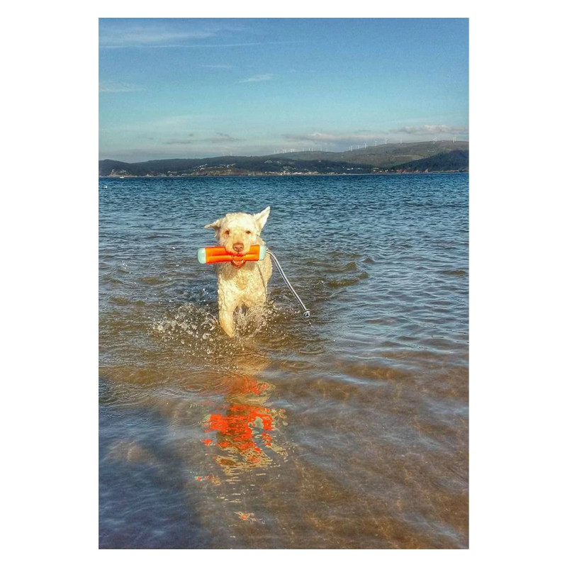 Hračka Chuckit! Amphibious Bumper S 4