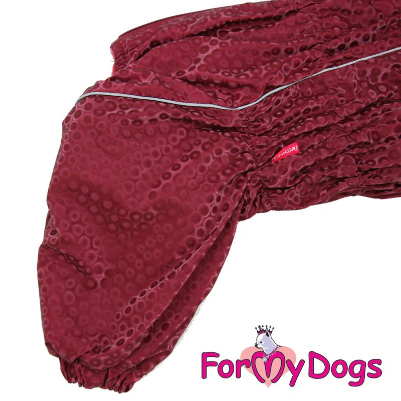 Zimný overal MAROON (pre fenky) C1 3