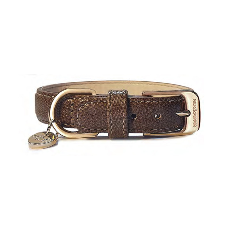 Obojok Pogona Brown 35