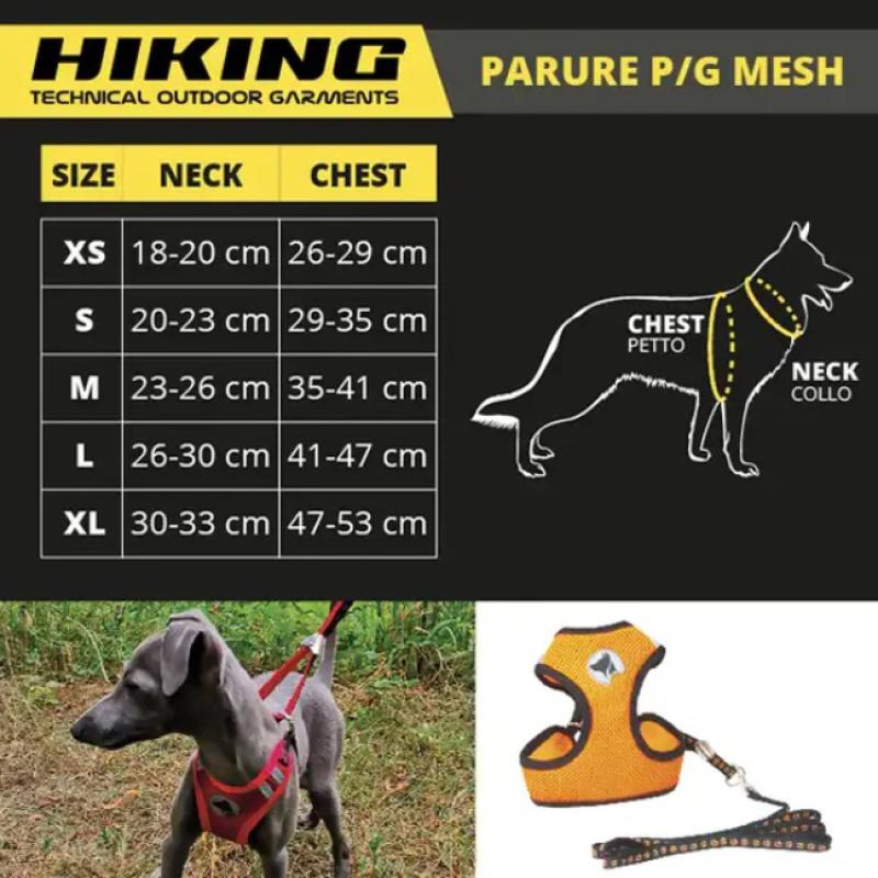 Postroj a vôdzka Hiking Black S 1