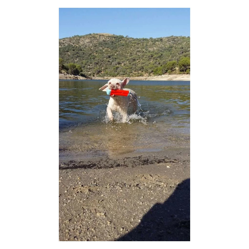 Hračka Chuckit! Amphibious Bumper S 2